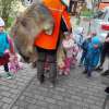 Besuch von der Jägerin April 2022